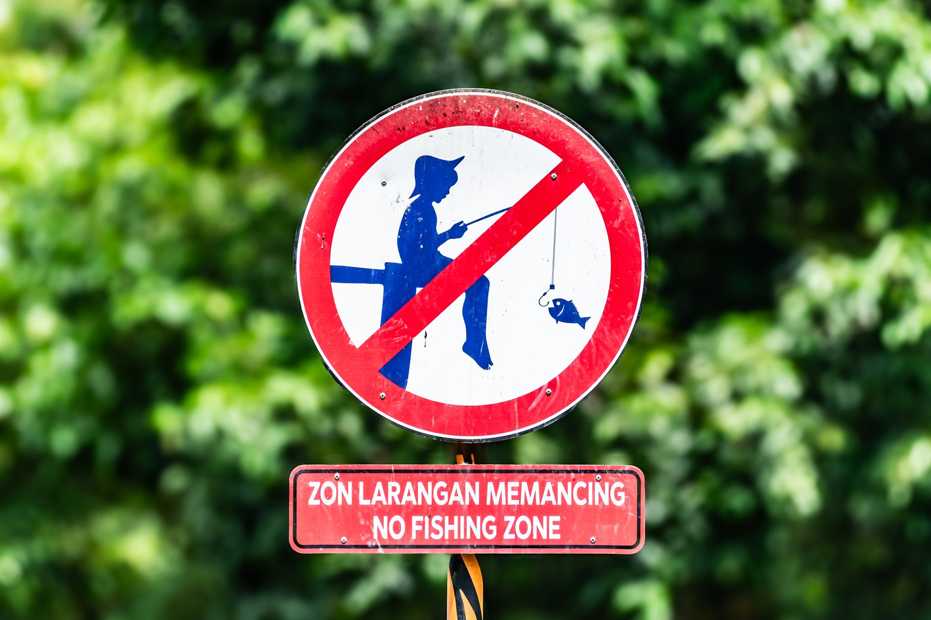 Understanding and Navigating Instagram's Ban Service: A Comprehensive Guide