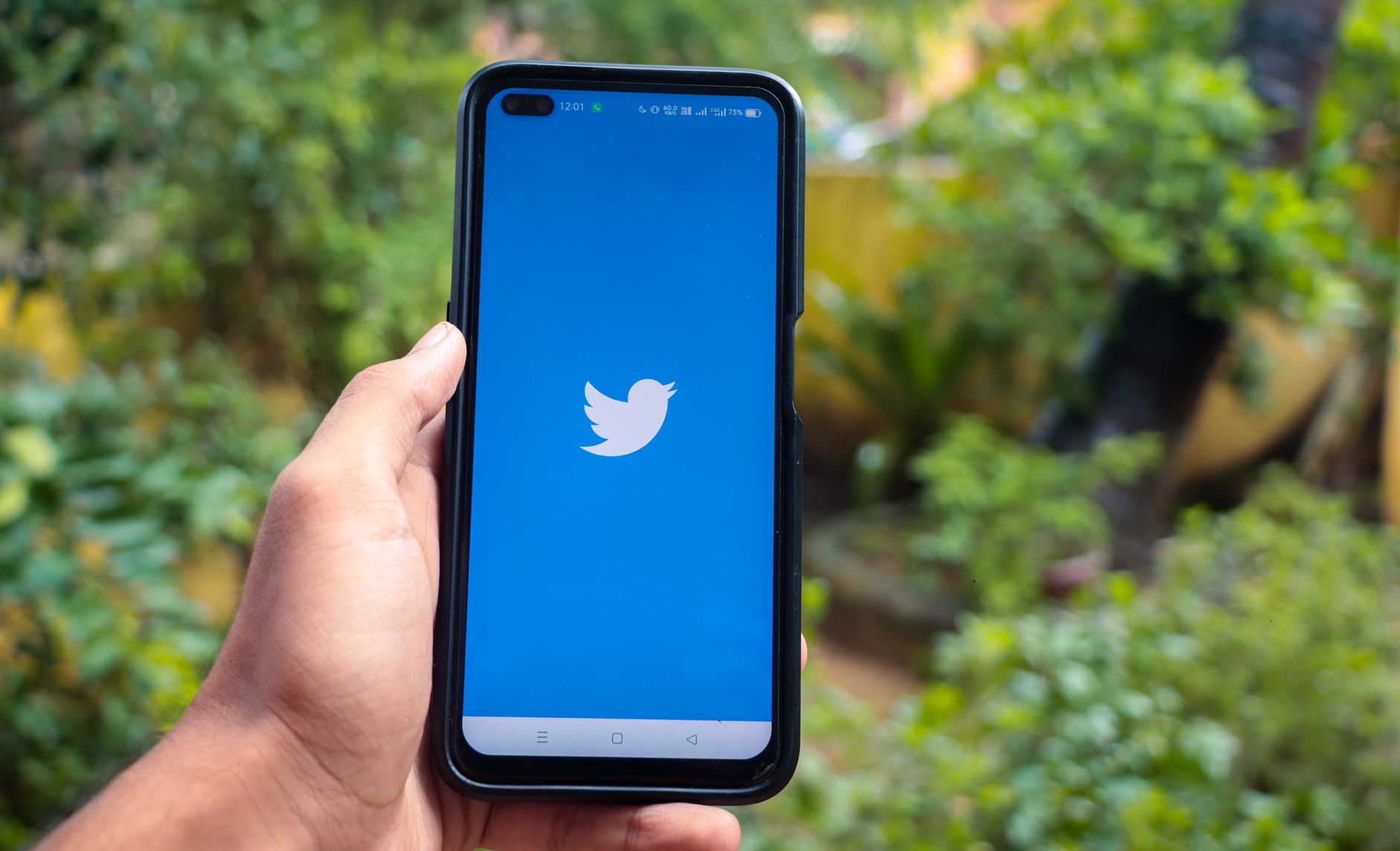 Understanding and Navigating Twitter's Suspension Service